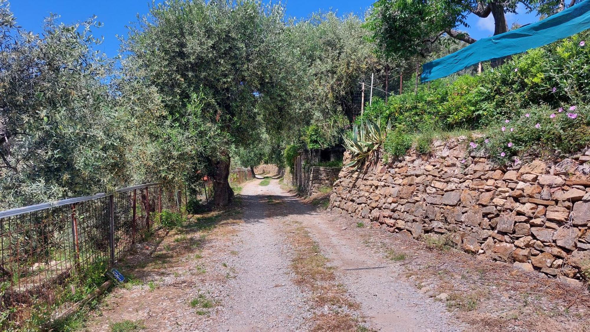 Il Nido Del Viaggiatore Vallebona Exterior photo